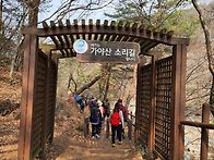 2023.3월 정기산행(합천 ..