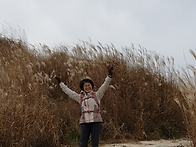 2019.11.10(황매산 억새평..