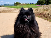 작년 콩이 사진