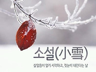 11月 22日(金) 소설(小雪..