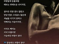 중년에도 바람은 ..