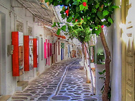 그림 같은 마음 ..