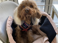 얼마전 승리가 17번째 생..