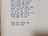 미운 오리의 날개