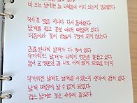 날개의 무게 - 조..