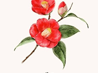 제주 4.3 함께 기..