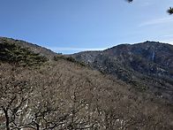 2026.01월 정기산행(?)..