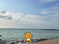 제주도 휴가왔으요