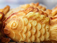 속이 꽉찬 용궁에서 온 붕..