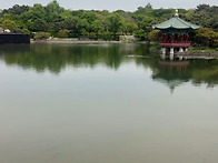 오늘 날씨가 흐리네요ㅜ