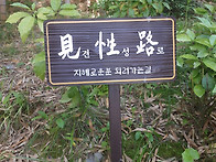 삼광사 마음 다지기