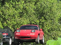 안녕하세요 새로 가입했습..