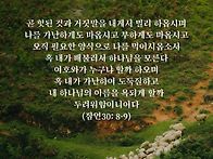 토요묵상 - 필요한 만큼의 은혜