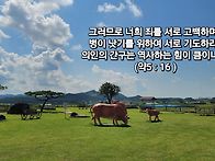 토요묵상 - 서로 기도하라