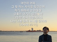 토요묵상 - 잊지 않으리