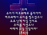 토요묵상ㅡ회복