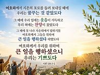 토요묵상 - 자유와 감사