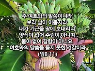 토요묵상