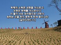 토요묵상 - 성령의 사람