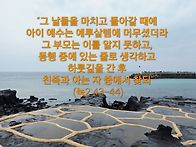 토요 묵상 ㅡ 착각