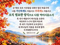 토요묵상 - 필요한 만큼의 은혜
