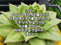 토요묵상ㅡ회복