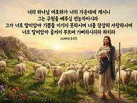 토요묵상 / 주님이면 됩니다