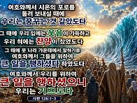 토요묵상 - 자유와 감사