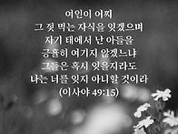 토요묵상 - 잊지 않으리
