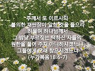 토요묵상-낙심하지 않으면