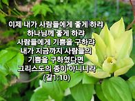 토요묵상ㅡ하나님이냐 사람이냐