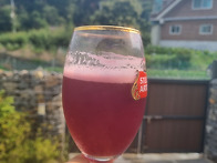 [23G Gose] 오디 고제
