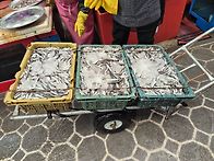 통영 새터시장 돌장어시락..