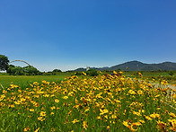 대동생태공원 소풍