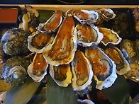 [부평동]이모카세 [동술]..