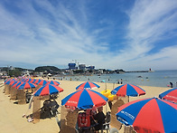 일광수산횟집 물회