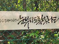 여유로운 시간.. 밋난 식..