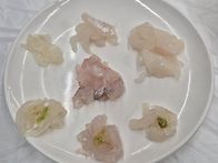 비오는 통영중앙시장 잡어..