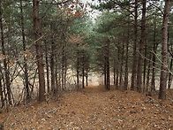 나의 선현유적 답사기(판도..