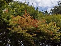 즐거운 추석 명절..