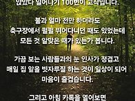 아침이 초록빛으로 빛나 ..