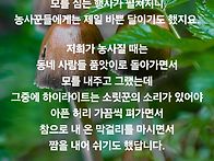 5월의 끝