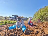 2025 사랑의.고구..