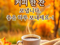 박스테프 완장 차..