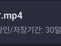 영화 다운해서 보기.