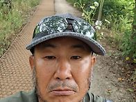 달빛