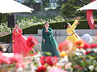 삼척 천만송이 장미축제, 쏠비치 해변, 동..