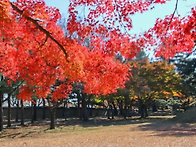 신라 금관의 권력과 위신 특별전과 천년고도..