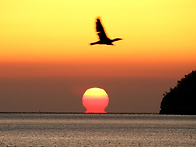 2026년 병오년 새해 일출..