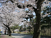 금오산(경주 남산) 산행